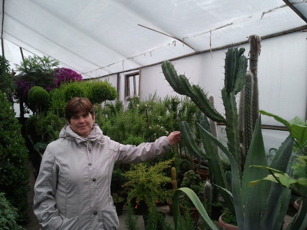 Елена Жановна Александрова