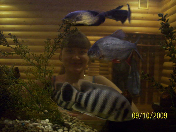 Инна Борисова