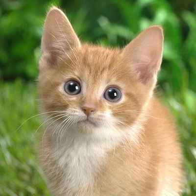 Маша Медведева