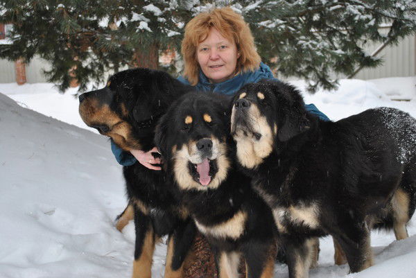 Виолетта Вечернина