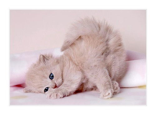 Лилия Галяутдинова