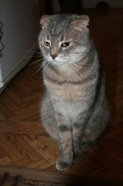 Кристина Рыжкова