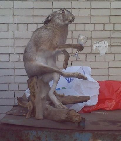 Кэт Тулупова