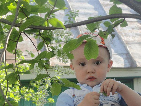 Гульназ Павалаки