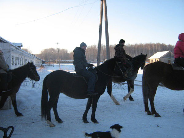 Елена Назарова