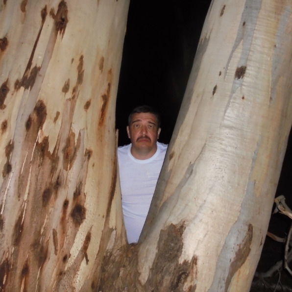 Виктор Громов