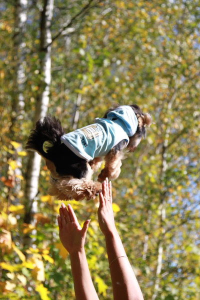 Анастасия Кудряшова