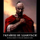 Олександр Салоїд