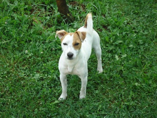 Светлана Агеева