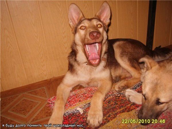 Надежда Большакова