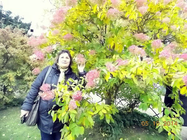 Наталья Шевлякова