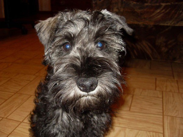 Сергей Сухарев