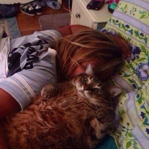 Маша Феличева