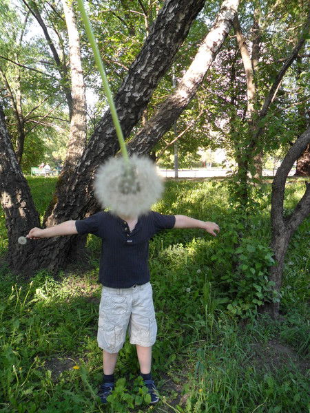 Главный Смирнов