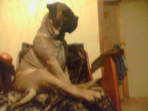 Светлана Бакулина