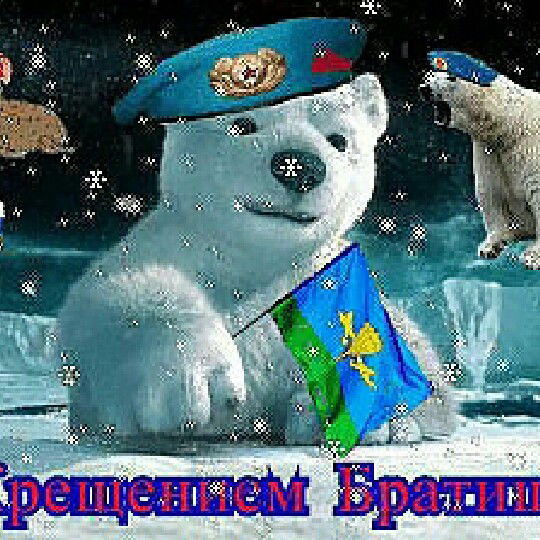 Алексей Моисеев