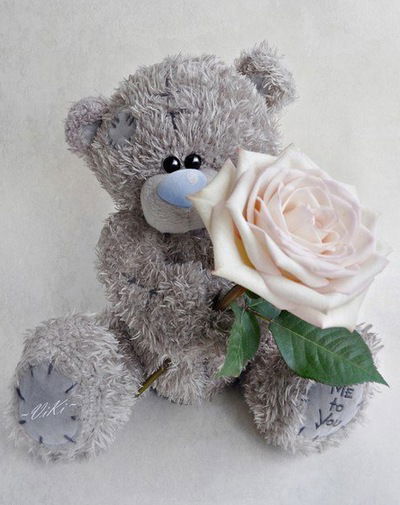 Алена Водичева