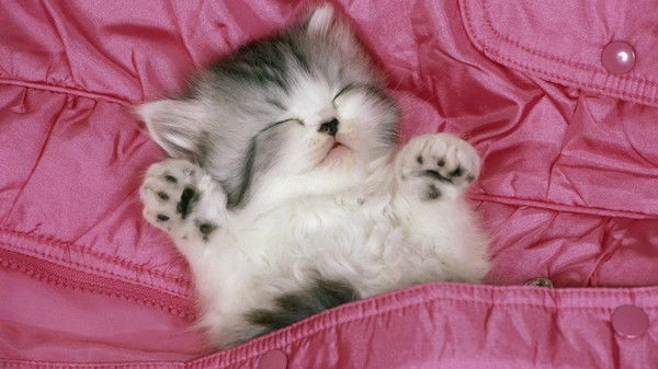 Тамара Бессмольная