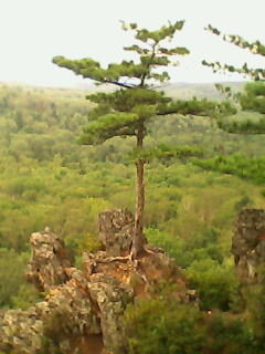 Сказочник Лука