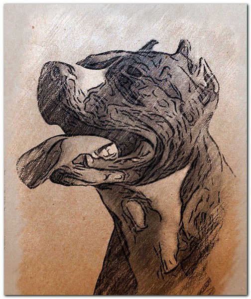 Наталья Димина