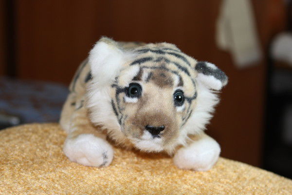 Альберт Тажиев