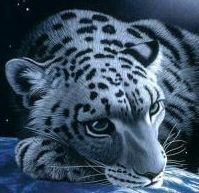 Алексей Трусов