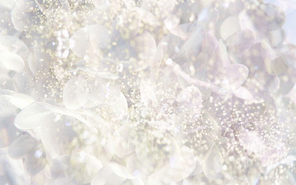 Василий Акимов