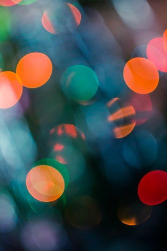 Вадим Николаенко