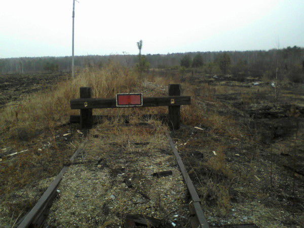 Сергей Подсевалов
