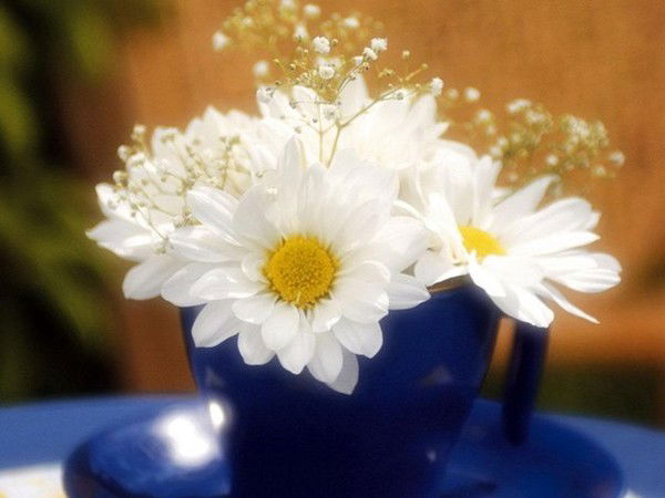 Наталья Бердникова