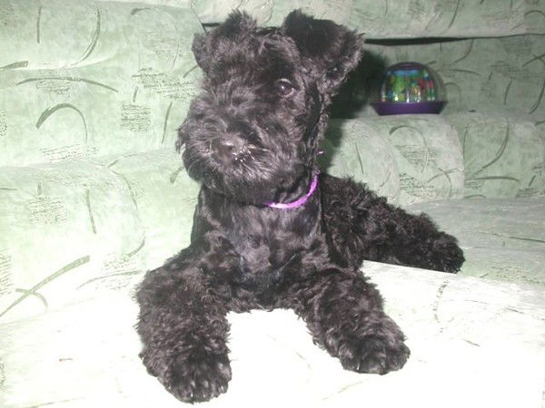 Сергей Михайлов