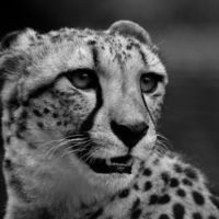 Ольга Иванова