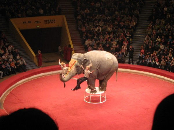 Ильнар Калимуллин