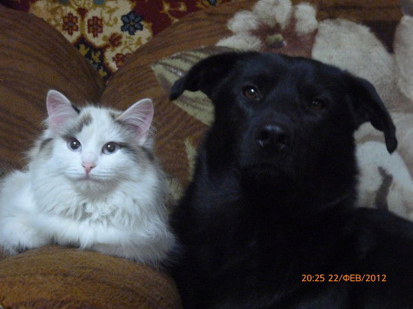 Виталий Лунев