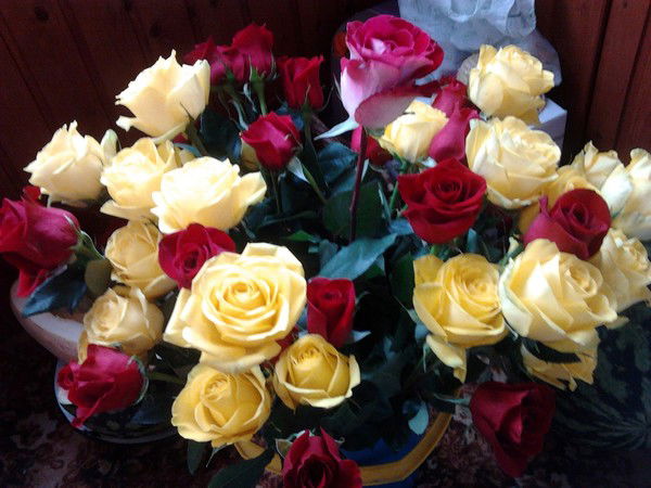 Ольга Малкова