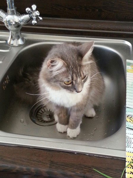 Ольга Расковская