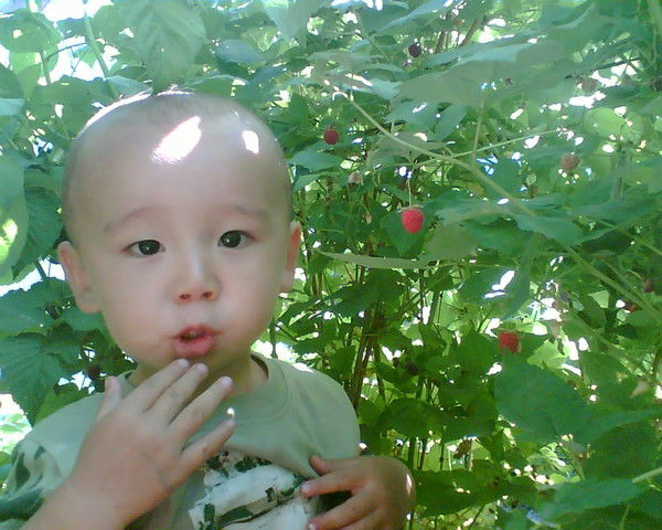 Жанар Амирова (Буркуталина)