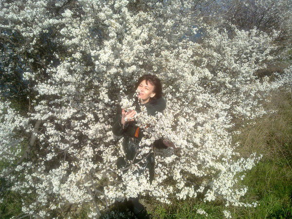 Анжела Харист