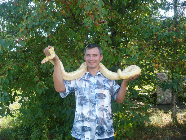 Димитрий Бодылевский