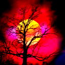 Тк-44 "технолог"