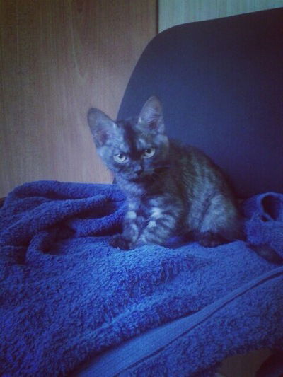 Марианна Крутова