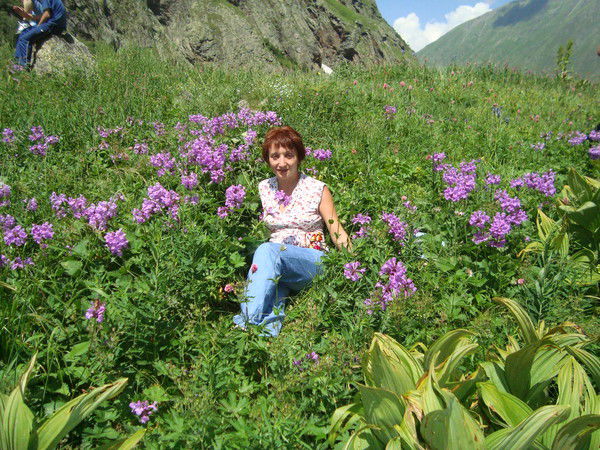 Маргарита Маргарита