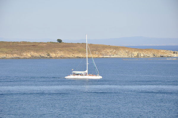 Маргарита Дрокина