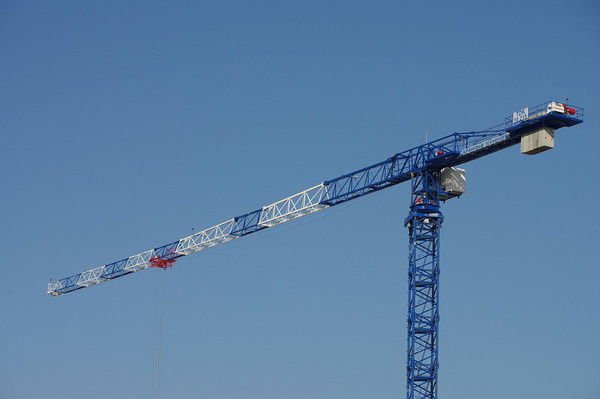 Бобр Бобровский