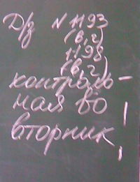 Яна Полежаева