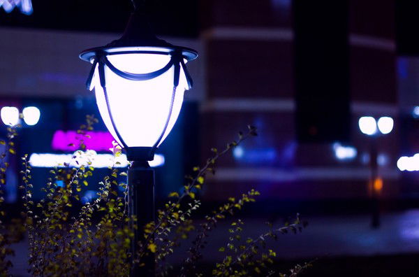 Тоо Южный Глобал Свет