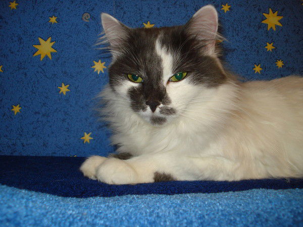 Марина Педченко