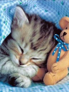 Злата Ершова