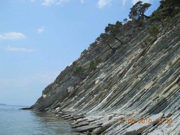 Елена Степаненко