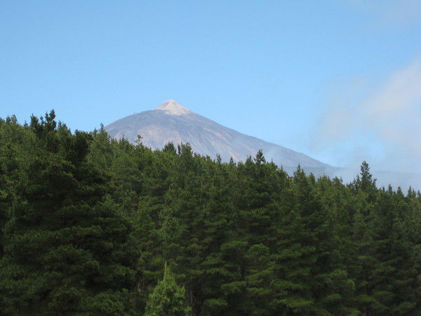 Любовь Очкурова